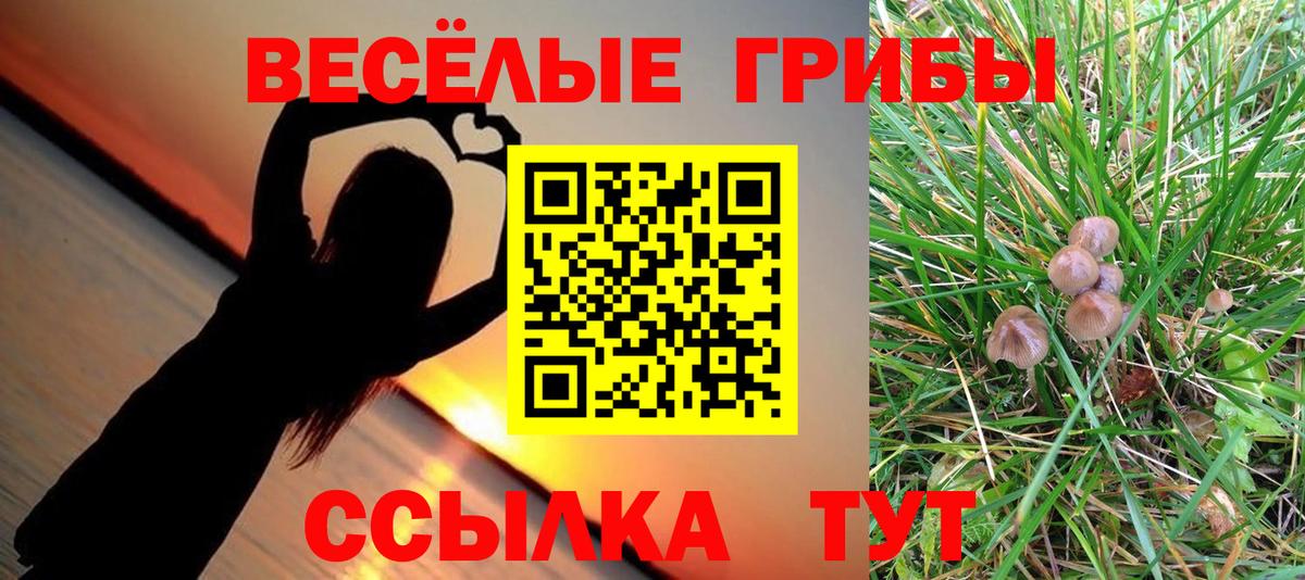 Озёры  Галлюциногенные грибы Magic Shrooms  Вход с VPN 