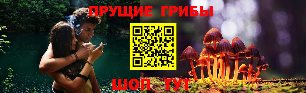 Псилоцибиновые грибы Psilocybine cubensis Озёры